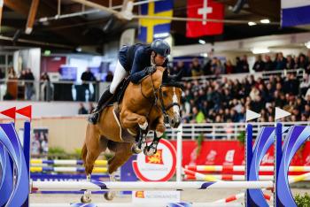 VENTE DE PLUSIEURS CHEVAUX